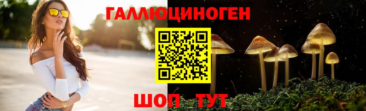 Псилоцибиновые грибы ЛСД Туапсе